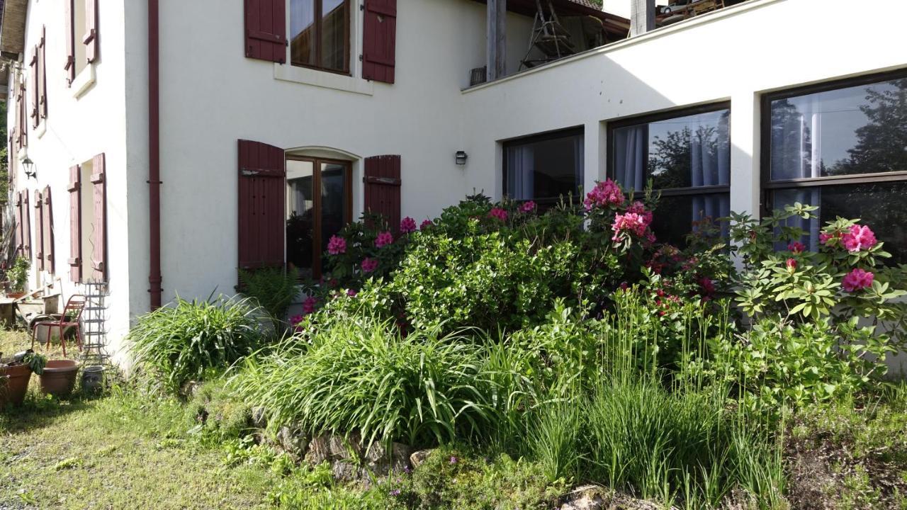 Le Jolis Bois Bed & Breakfast Raon-l'Etape Exterior photo